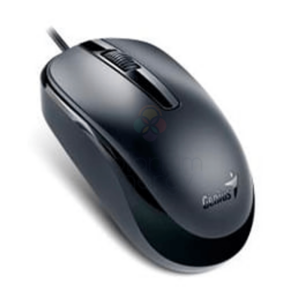 Genius Mouse RS DX-120 USB Negro
