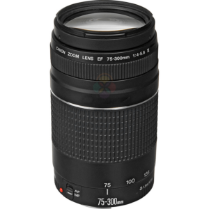Canon Objetivo EF 75-300mm F/4.0-5.6 III