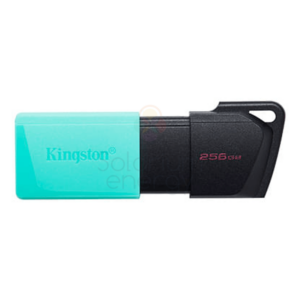 Kingston Memoria USB 256GB USB 3.2 Gen 1