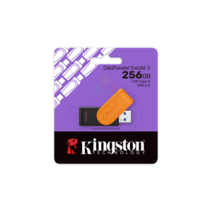 Kingston Memoria USB 256GB Swivel Tapa Giratoria