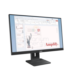 Lenovo Monitor ThinkVision E24-40 23.8" FHD 100Hz